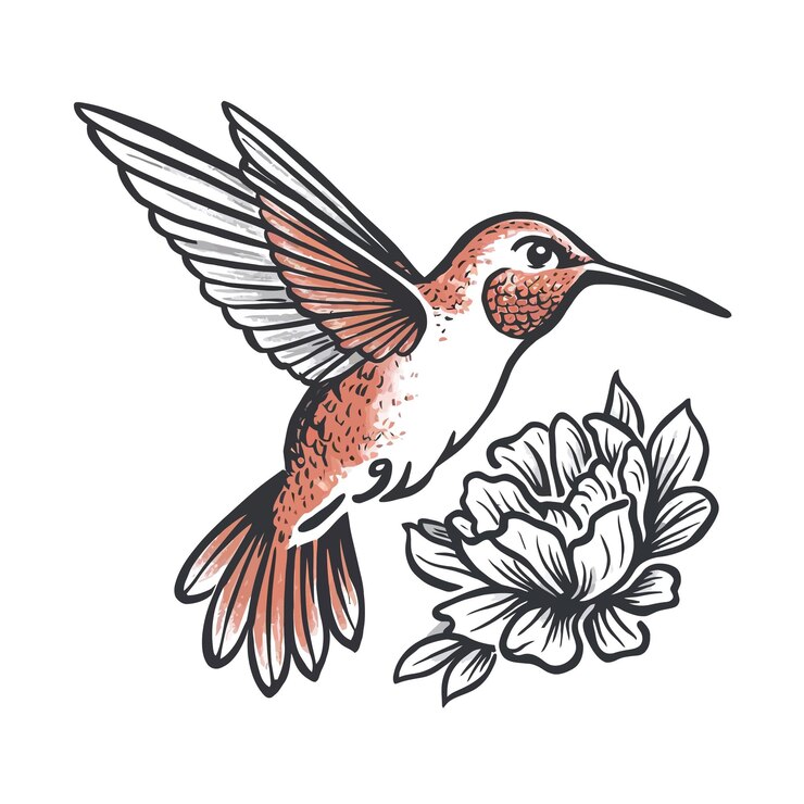un disegno di un colibrì con un fiore sullo sfondo