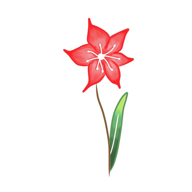 Vettore un disegno di un fiore rosso con una foglia verde