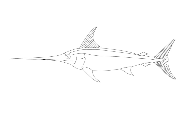 Vettore un disegno di un pesce vela con una lunga coda.