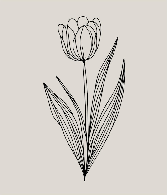 un disegno di un tulipano con la parola tulipani su di esso