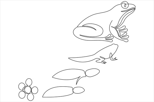 un disegno di una rana e una rana con una linea di pipistrelli