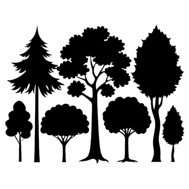 un disegno in bianco e nero di alberi con uno sfondo nero