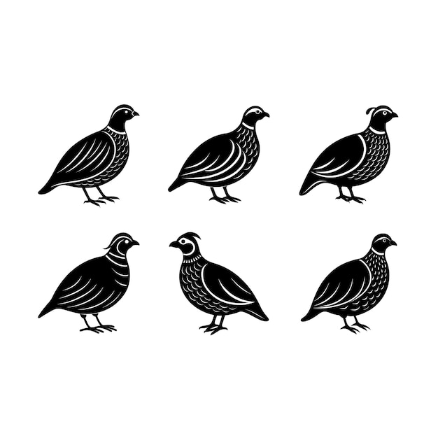 un disegno in bianco e nero di tre uccelli con uno sfondo bianco