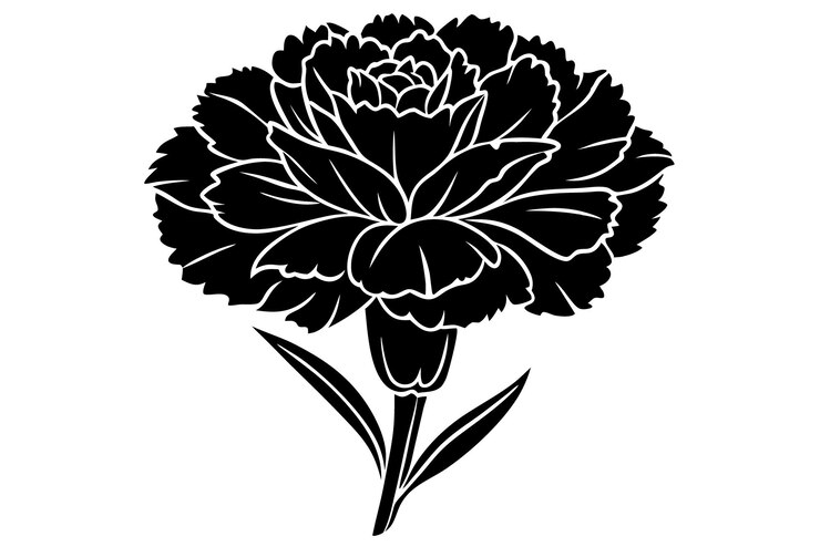 un disegno in bianco e nero di un fiore con la parola peoni su di esso