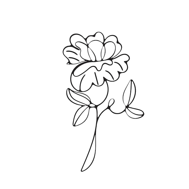 un disegno in bianco e nero di un fiore con un grosso gambo