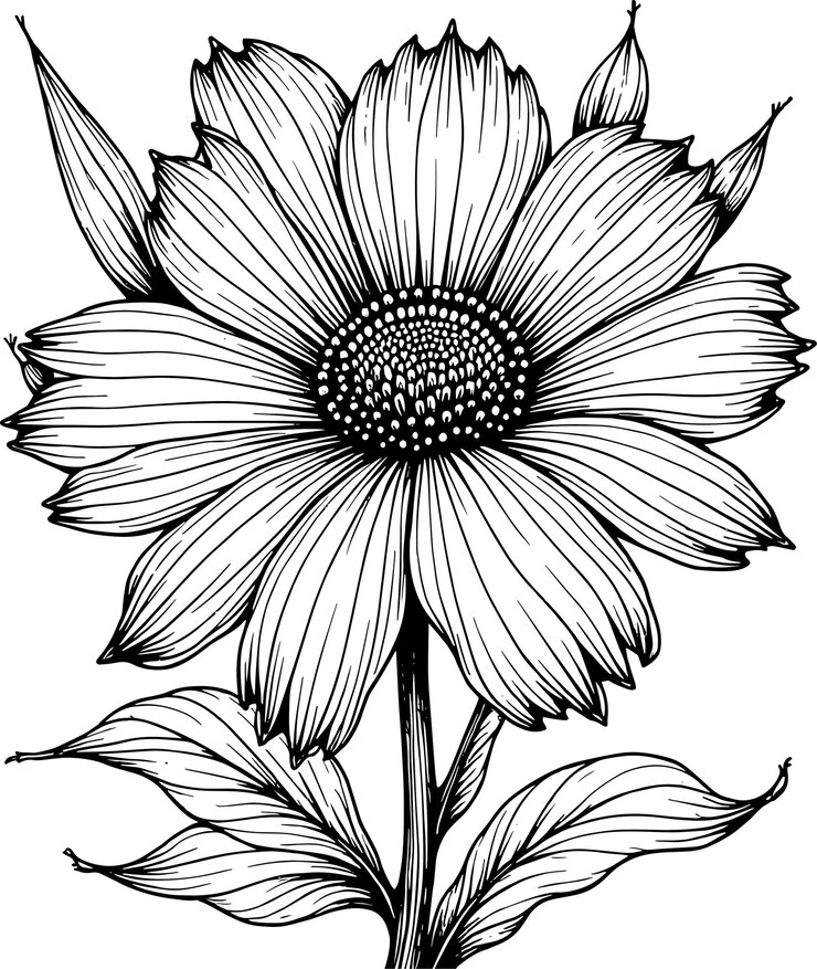 un disegno in bianco e nero di un fiore