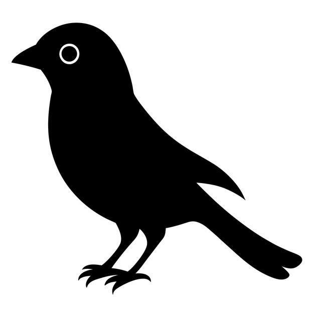 un disegno in bianco e nero di un uccello con un occhio bianco