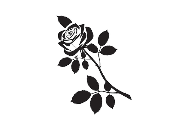 un disegno in bianco e nero di una rosa con uno sfondo nero