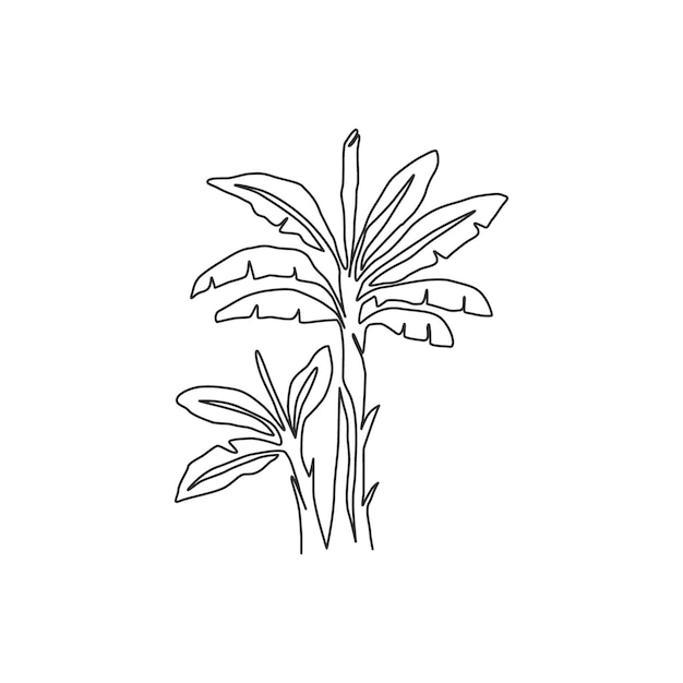 Un disegno in linea continua di bellezza e un albero di banane fresco vettorico di progettazione grafica a linea singola