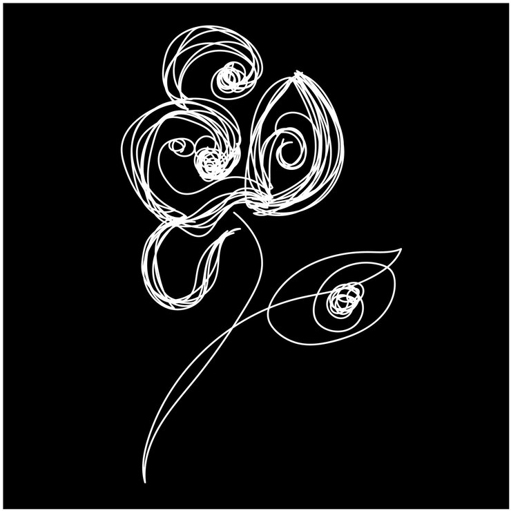 un fiore bianco con un contorno bianco e un fiore Bianco su di esso