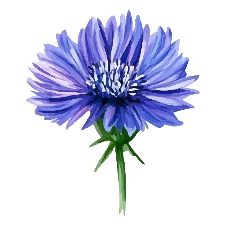 Vettore un fiore blu con un gambo verde e la parola blu su di esso