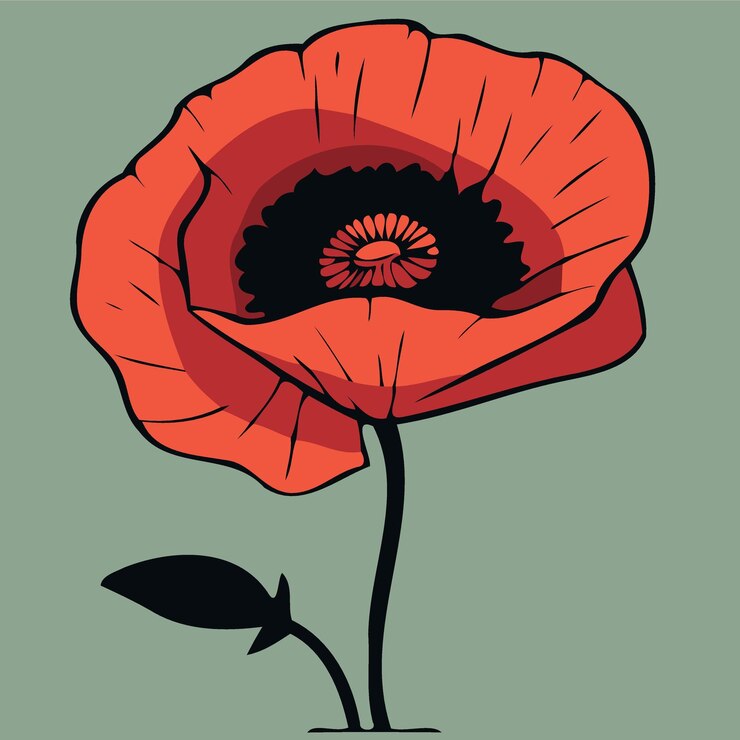 Un fiore di papavero rosso