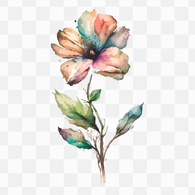 Un fiore su uno sfondo trasparente - pittura ad acquerello, download png hd