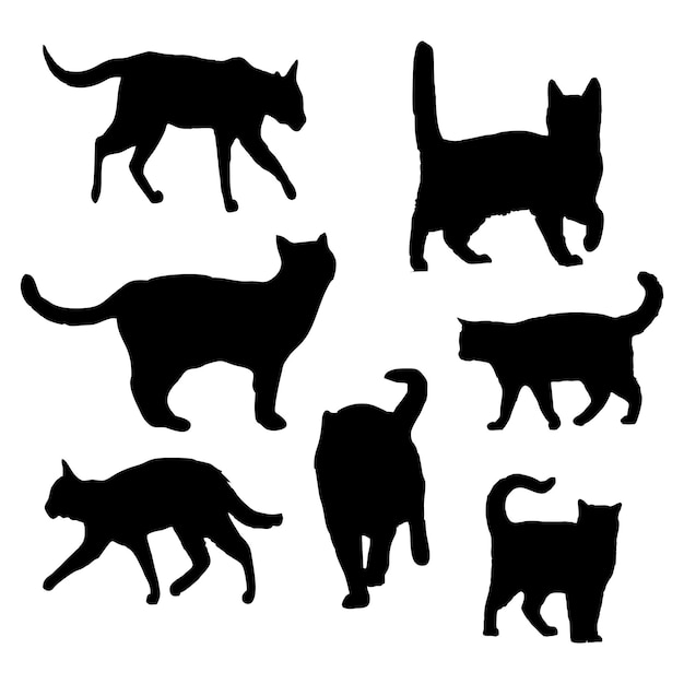 Un gatto nero con uno sfondo bianco con una sagoma nera di un gatto.