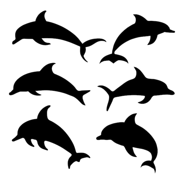 Un gruppo di delfini sta nuotando nell'acqua.