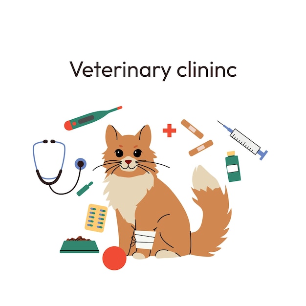 Un'illustrazione di una clinica veterinaria con un gatto arancione soffice con una zampa bendata circondata da