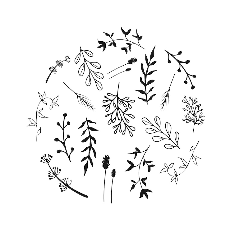 Vettore un'illustrazione monocromatica di fiori e foglie disposti in un disegno circolare che assomiglia a un artista