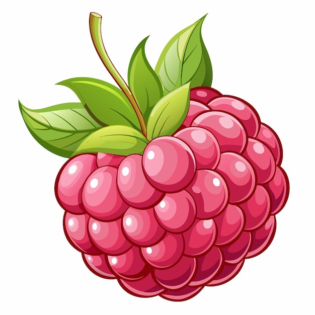 un'illustrazione vettoriale del lampone rosso