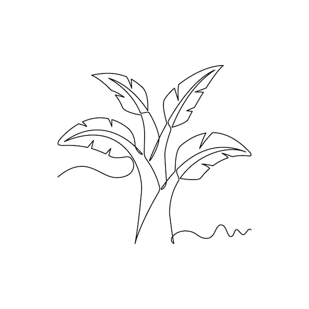 un'illustrazione vettoriale di un albero di banane un'illustrazione lineare di una linea continua semplice disegnata a mano