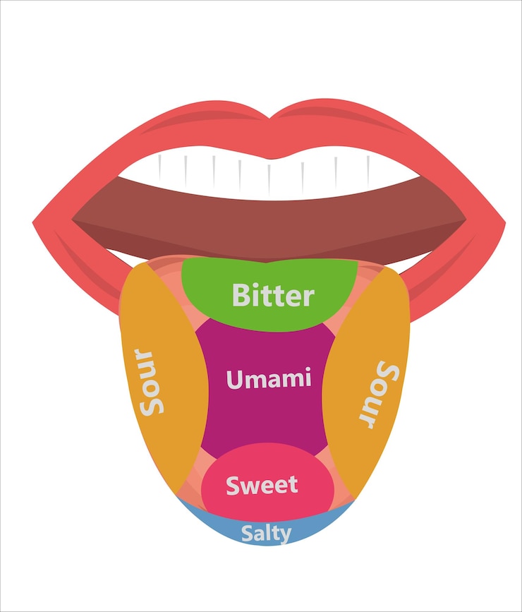 Vettore un'immagine della lingua di una donna con la parola yam su di essa