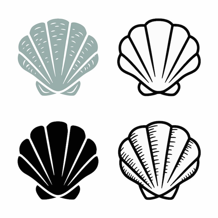 Vettore un'immagine in bianco e nero di una conchiglia di mare e di una concha di aragoste