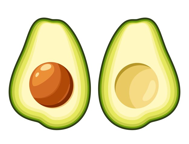 Un insieme di avocado su uno sfondo bianco.