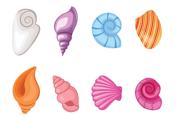 Vettore un insieme di conchiglie colorate su uno sfondo bianco