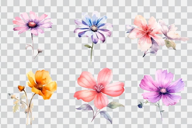 Un insieme di fiori dell'acquerello su uno sfondo trasparente.