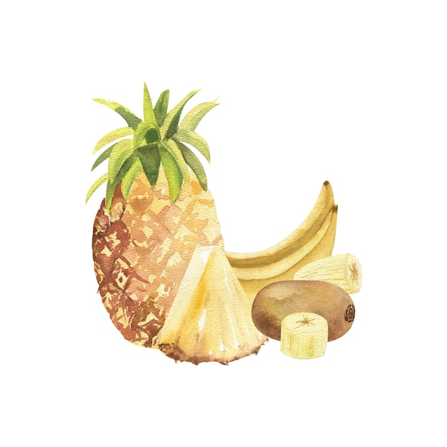 Un insieme di frutta tropicale ananas fette di banana kiwi evidenziato su un acquerello di sfondo bianco