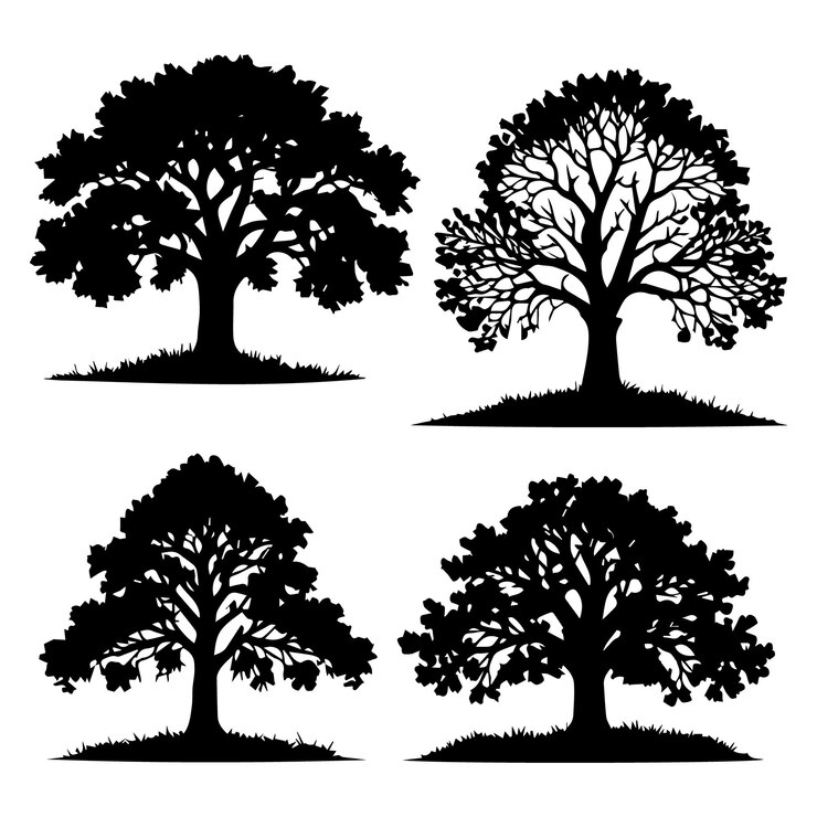 un insieme di quattro alberi con uno sfondo bianco e un'immagine in bianco e nero di un albero