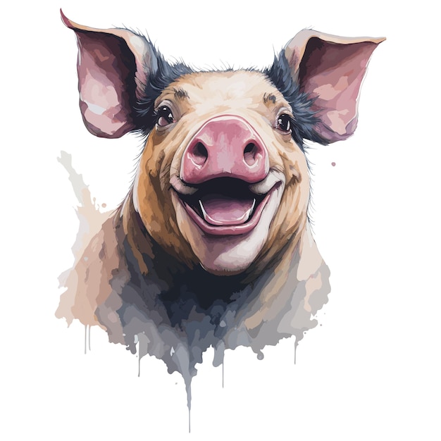 Un maiale con il naso rosa è mostrato con il naso rosa.