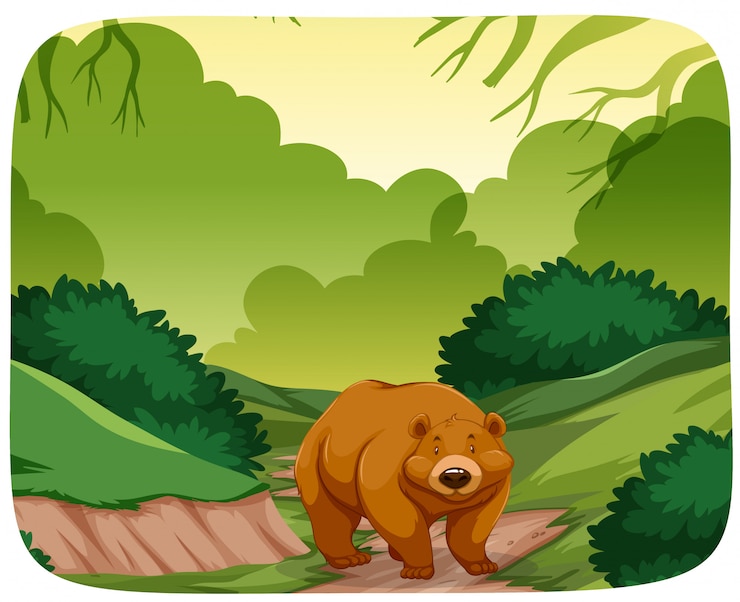 Vettore un orso nella foresta