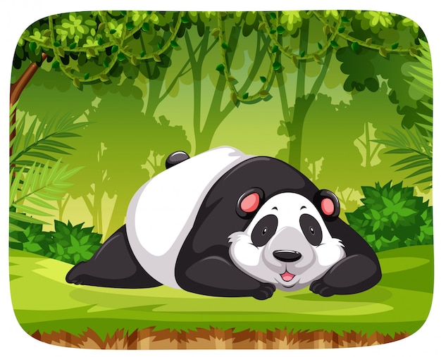 Un panda nella scena della giungla