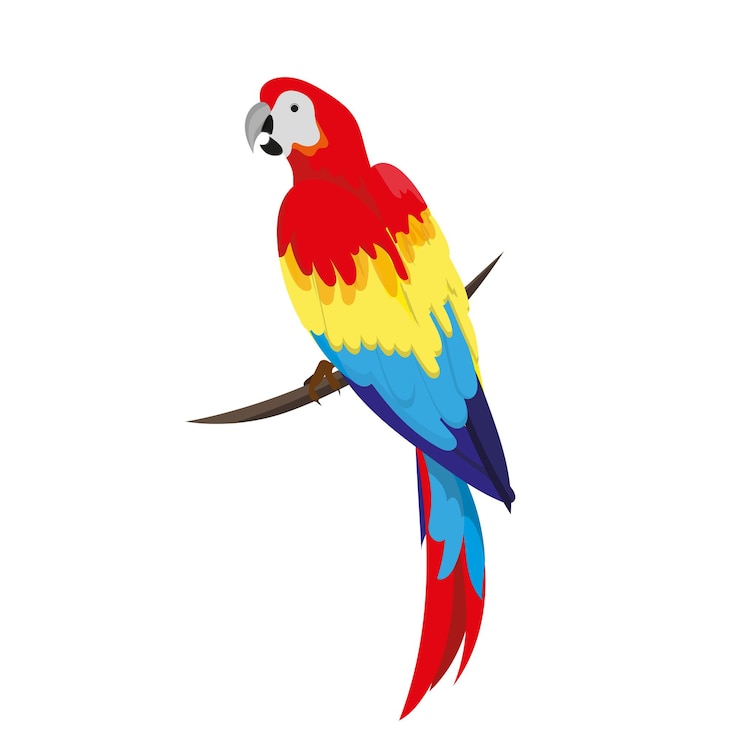 Vettore un pappagallo ara si siede su un verka. un pappagallo rosso tropicale si siede su un ramo in mezzo giro. elemento di design estivo.