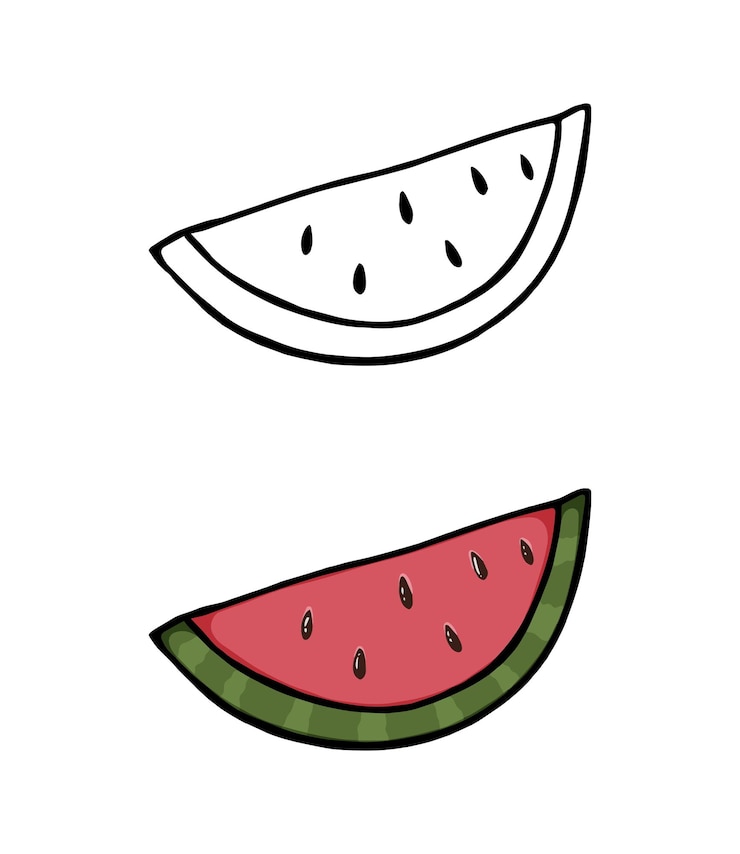 Vettore un pezzo di anguria succosa matura con pietre raccolta di bacche doodle colorazione lineare del fumetto
