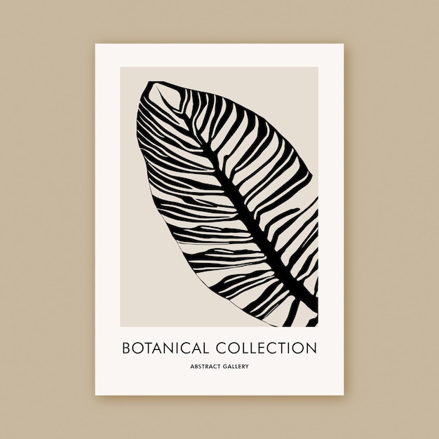 Un poster con scritto collezione botanica