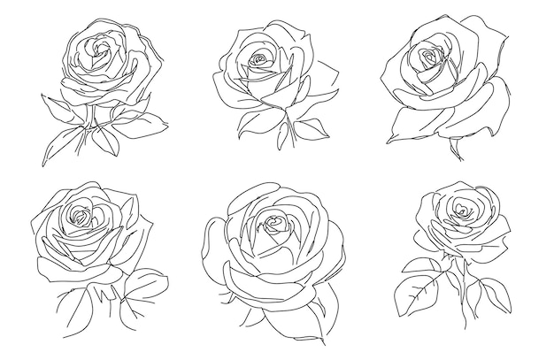 Un set di rose bianche e nere.