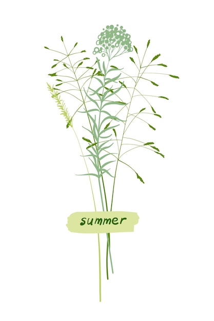 Un simpatico bouquet di fili d'erba una collezione estiva di erbe diverse con un pezzo di carta