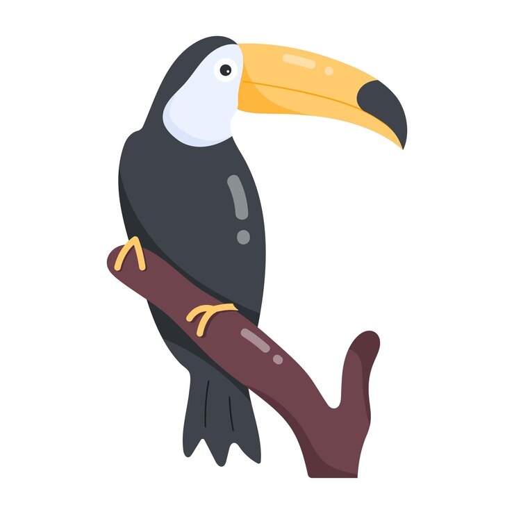 Vettore un tucano bianco e nero si siede su un ramo.