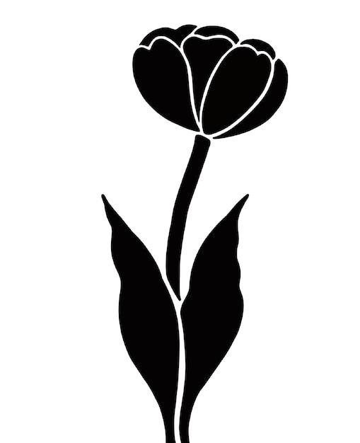 Un tulipano bianco e nero con sopra una foglia.