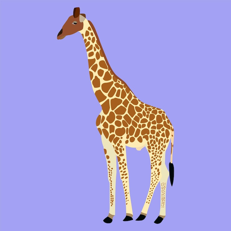Vettore una bellissima grafica vettoriale giraffa