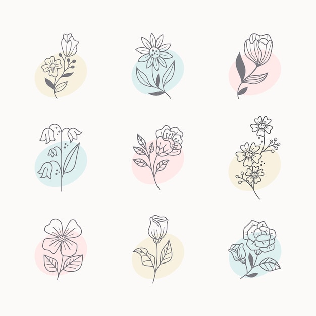 una collezione di diversi fiori e foglie