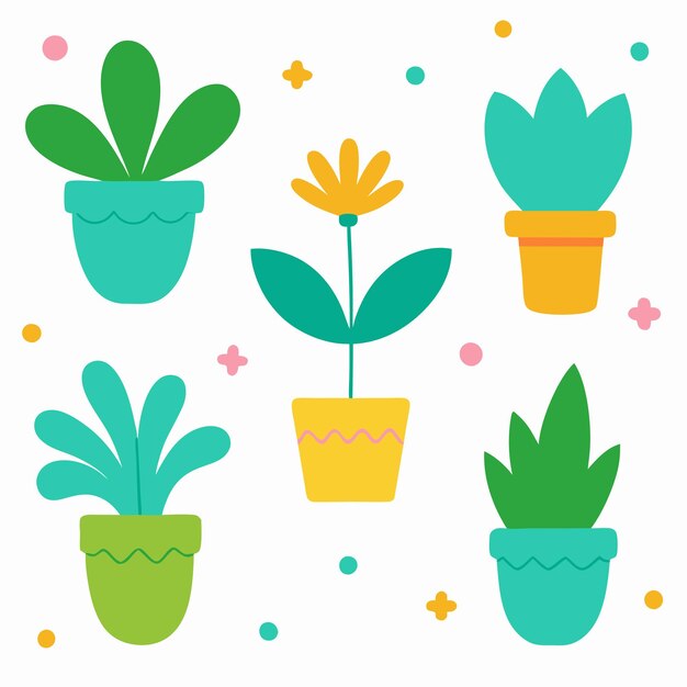 una collezione di piante e fiori in vaso