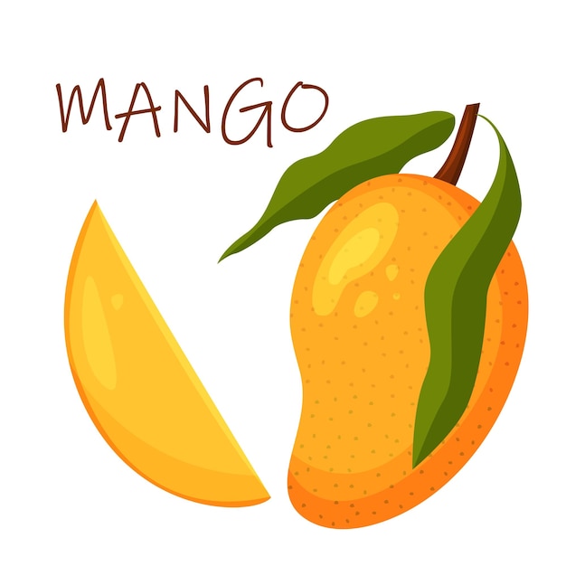 Una composizione luminosa e colorata con succoso mango Frutta esotica Vector