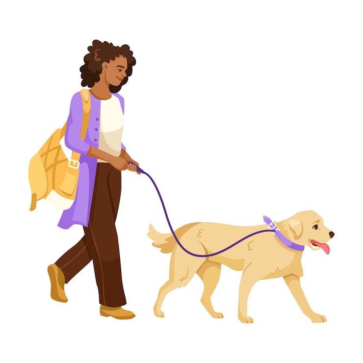 Vettore una donna che fa passeggiare un cane felice al guinzaglio isolato su uno sfondo bianco illustrazione vettoriale illustrazione vettoriale
