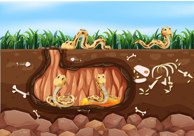 Una famiglia di serpenti che vive sottoterra
