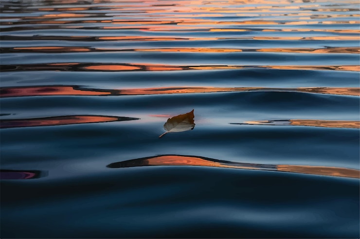 Vettore una foglia che galleggia nell'acqua con il sole che tramonta dietro di lei