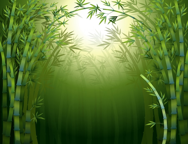 Una foresta di bambù scuro