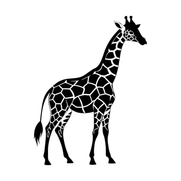 Una giraffa con un disegno in bianco e nero su sfondo bianco