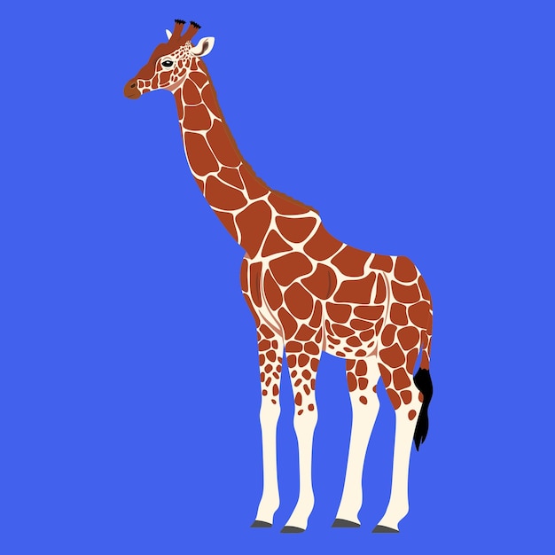 Una giraffa con una coda nera e macchie bianche sul corpo